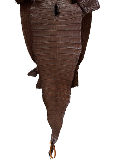 31 cm Grade 1/2 Chocolate Matte Farm-Raised American Alligator Leather - Tag: FL17-0036369