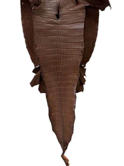 33 cm Grade 1/2 Chocolate Matte Farm-Raised American Alligator Leather - Tag: FL17-0036527