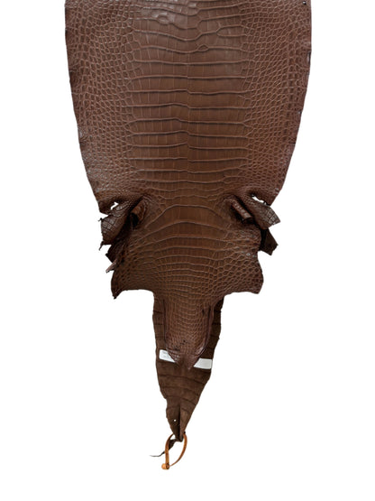 33 cm Grade 1/2 Chocolate Matte Farm-Raised American Alligator Leather - Tag: FL17-0036527