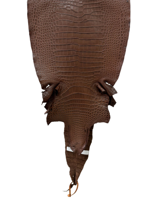 33 cm Grade 1/2 Chocolate Matte Farm-Raised American Alligator Leather - Tag: FL17-0036527