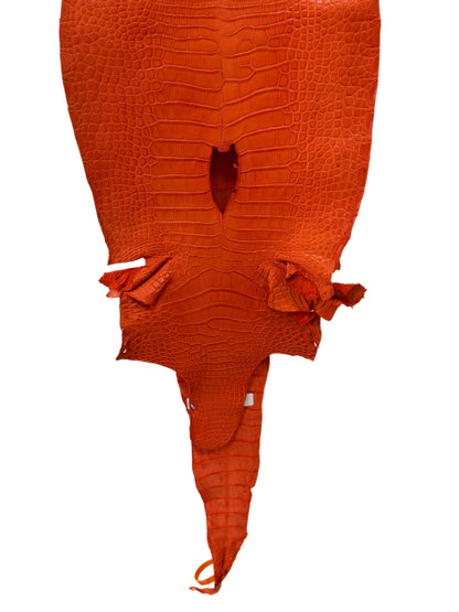 35 cm Grade 3/4 Orange Primavera Matte Farm-Raised American Alligator Leather - Tag: LA23-0531079