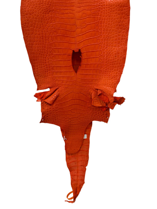35 cm Grade 3/4 Orange Primavera Matte Farm-Raised American Alligator Leather - Tag: LA23-0531079