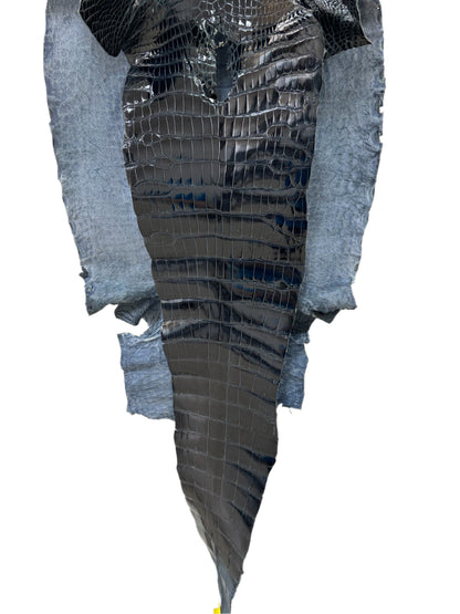 45 cm Grade 2/3 Navy Blue Glazed Wild American Alligator Leather - Tag: LA16-0016558