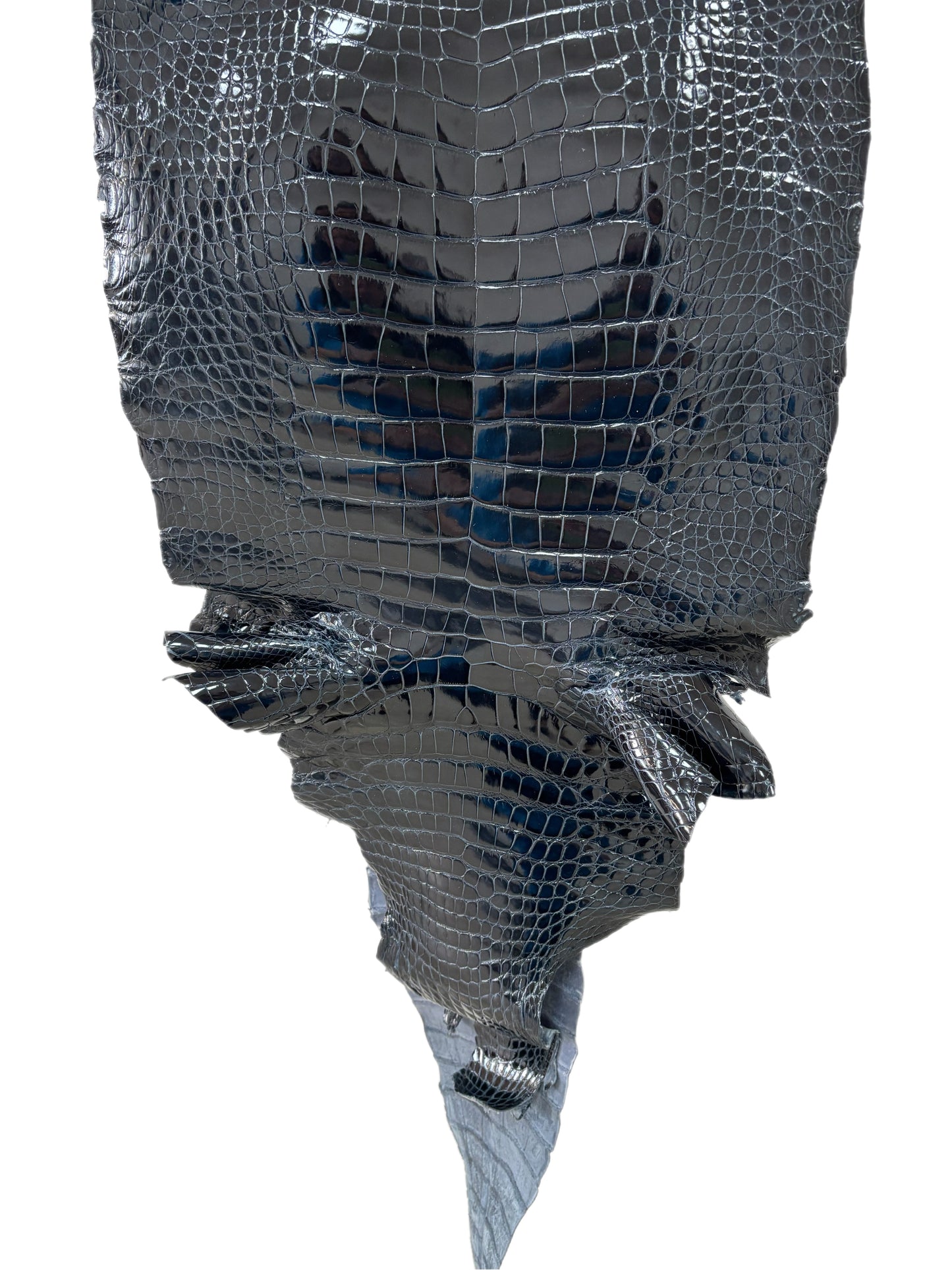 45 cm Grade 2/3 Navy Blue Glazed Wild American Alligator Leather - Tag: LA16-0016558