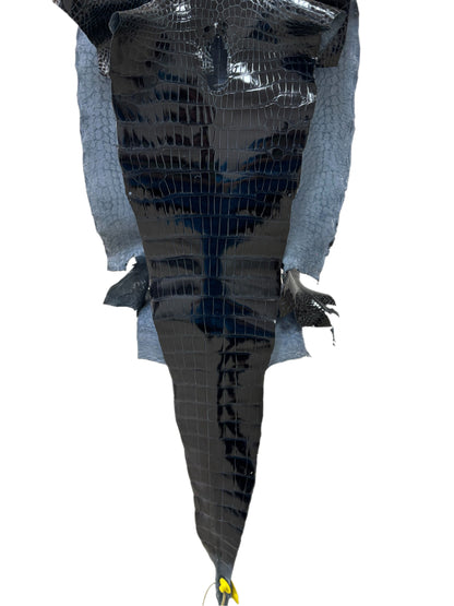 42 cm Grade 1/2 Navy Blue Glazed Wild American Alligator Leather - Tag: LA16-0030037