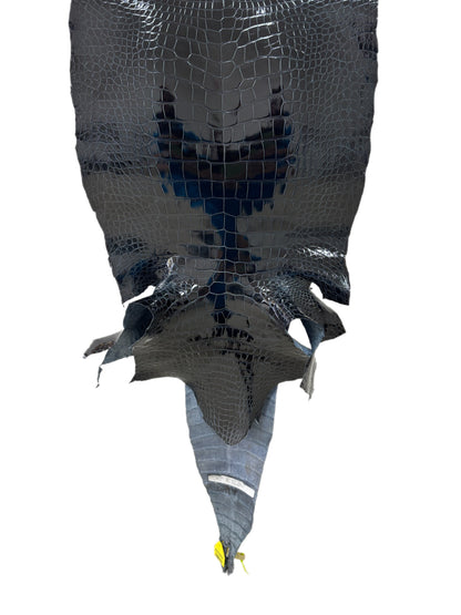 42 cm Grade 1/2 Navy Blue Glazed Wild American Alligator Leather - Tag: LA16-0030037