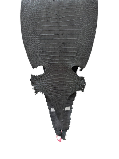 28 cm Grade 2/3 Gunmetal Matte Farm-Raised American Alligator Leather - Tag: FL21-0024038