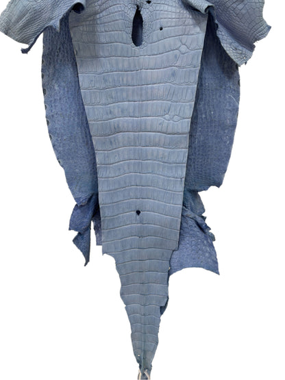 43 cm Grade 3/4 Carolina Blue Matte Wild American Alligator Leather - Tag: LA23-0027039