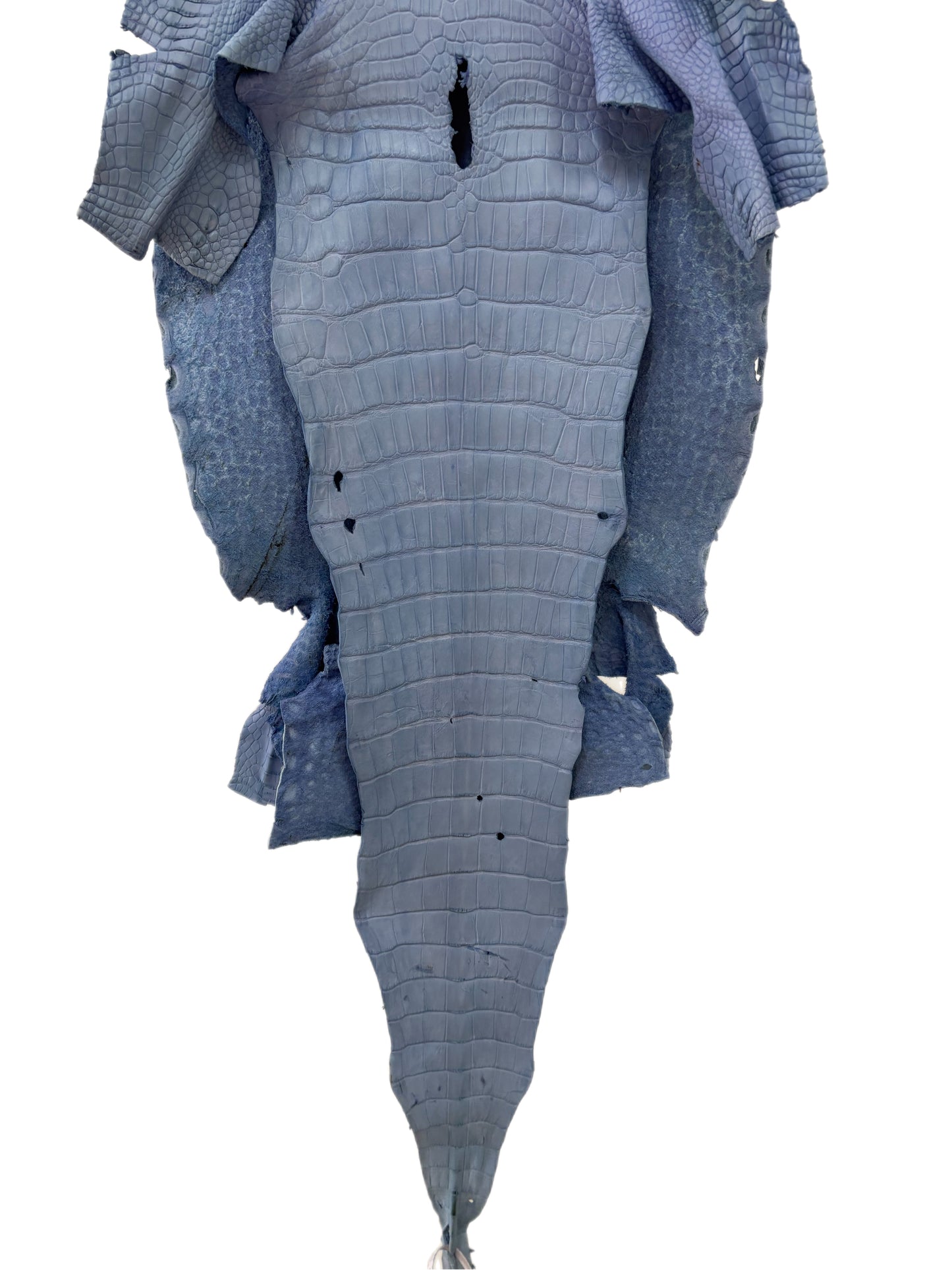 39 cm Grade 2/3 Carolina Blue Matte Wild American Alligator Leather - Tag: LA23-0030672