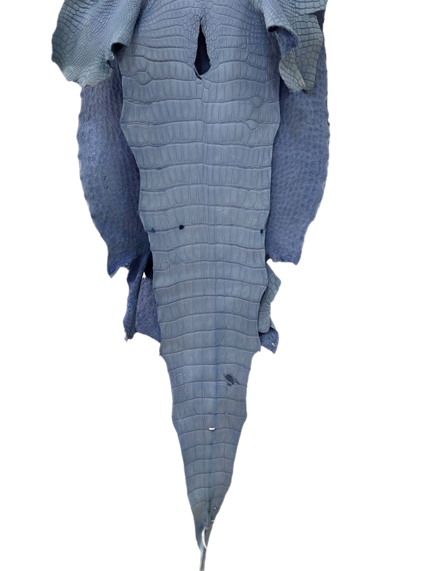 44 cm Grade 2/3 Carolina Blue Matte Wild American Alligator Leather - Tag: LA23-0007559