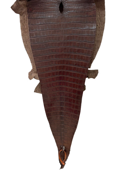 41 cm Grade 1/2 Chocolate Matte Farm-Raised American Alligator Leather - Tag: FL17-0038516