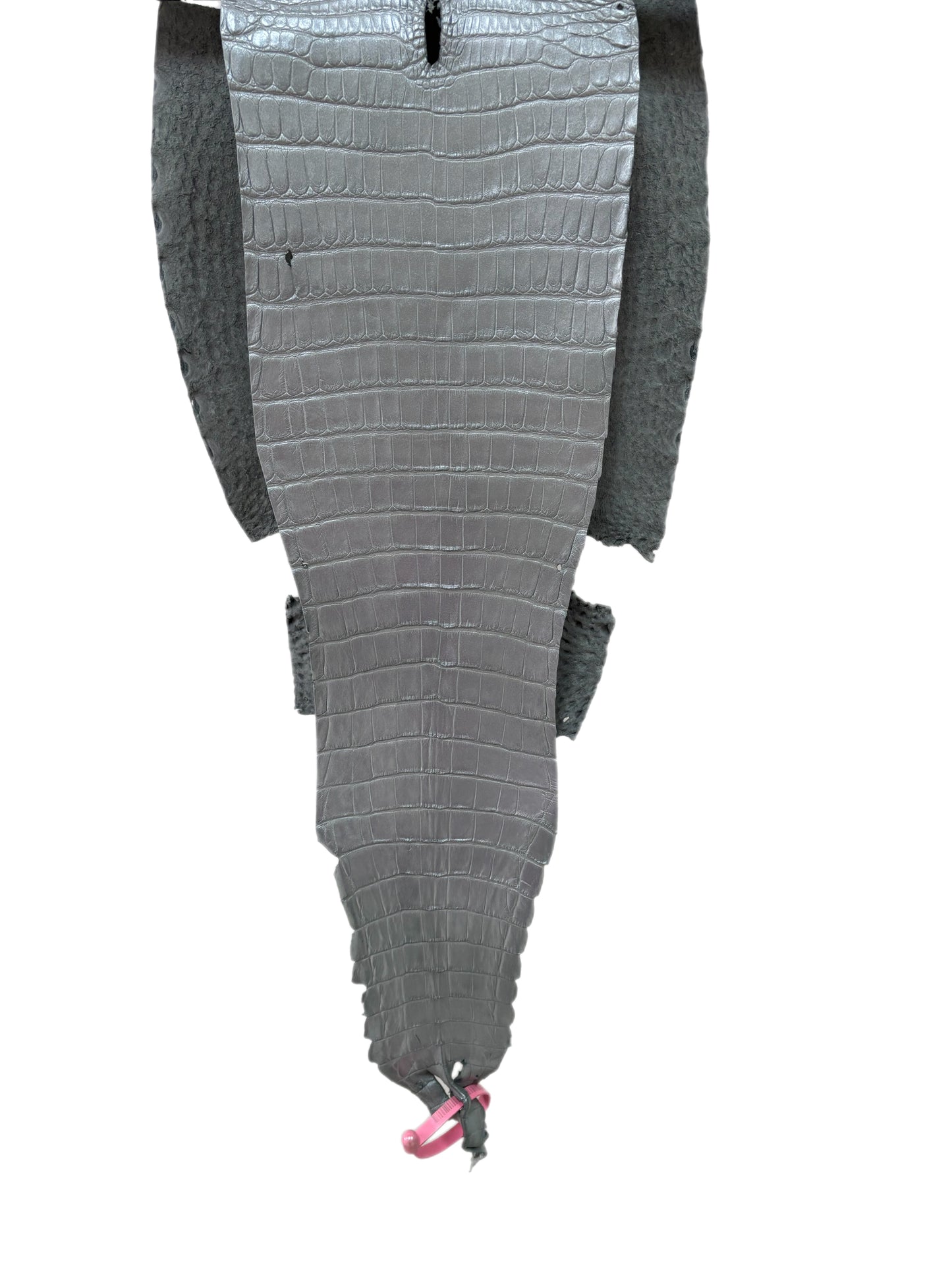 30 cm Grade 2/3 Silver Metallic Farm-Raised American Alligator Leather - Tag: FL21-0024031