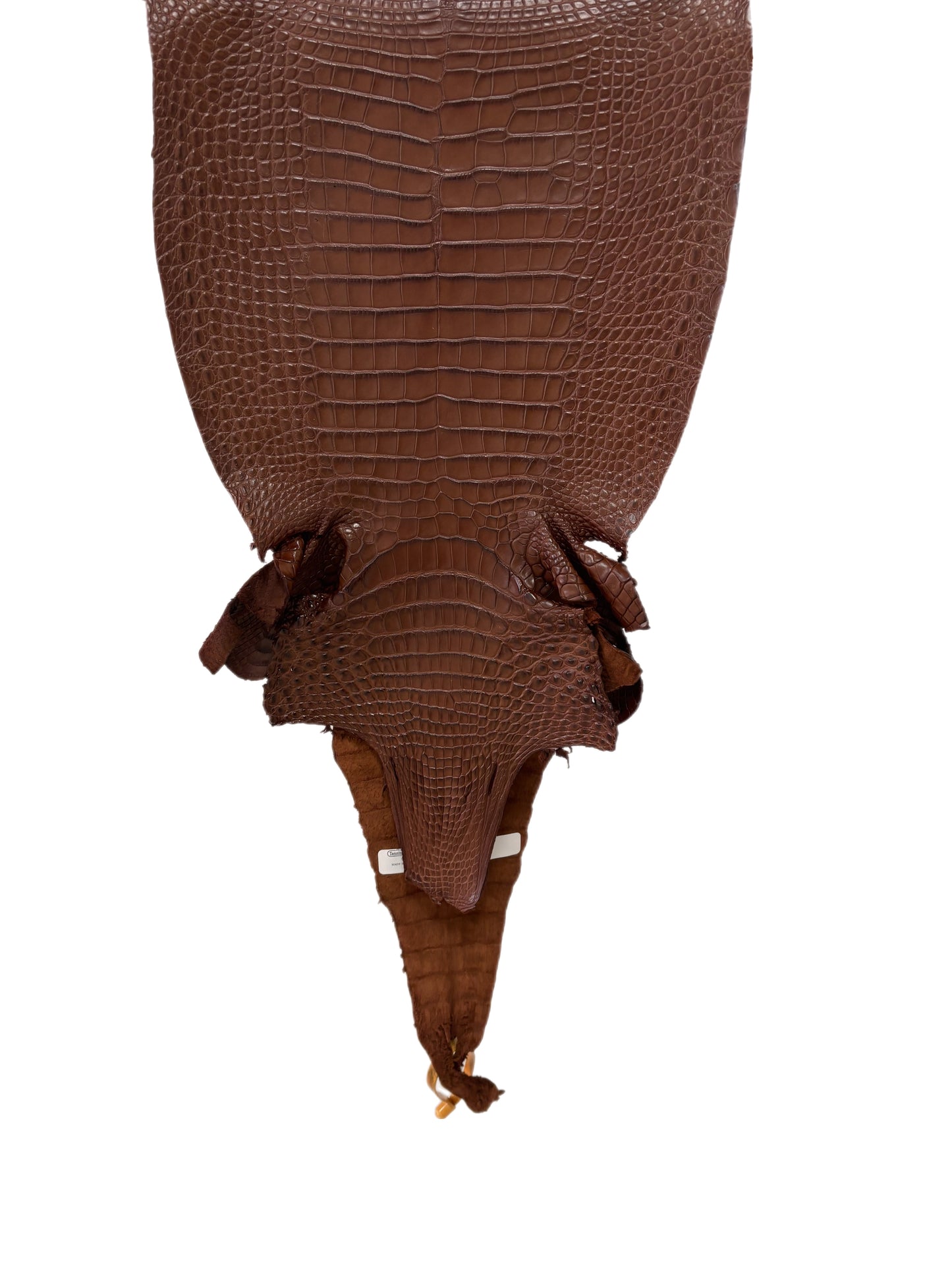 31 cm Grade 2/3 Rodeo Matte Farm-Raised American Alligator Leather - Tag: FL17-0036003