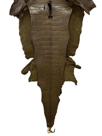 45 cm Grade 3/4 Olive Matte Wild American Alligator Leather - Tag: LA23-0017368