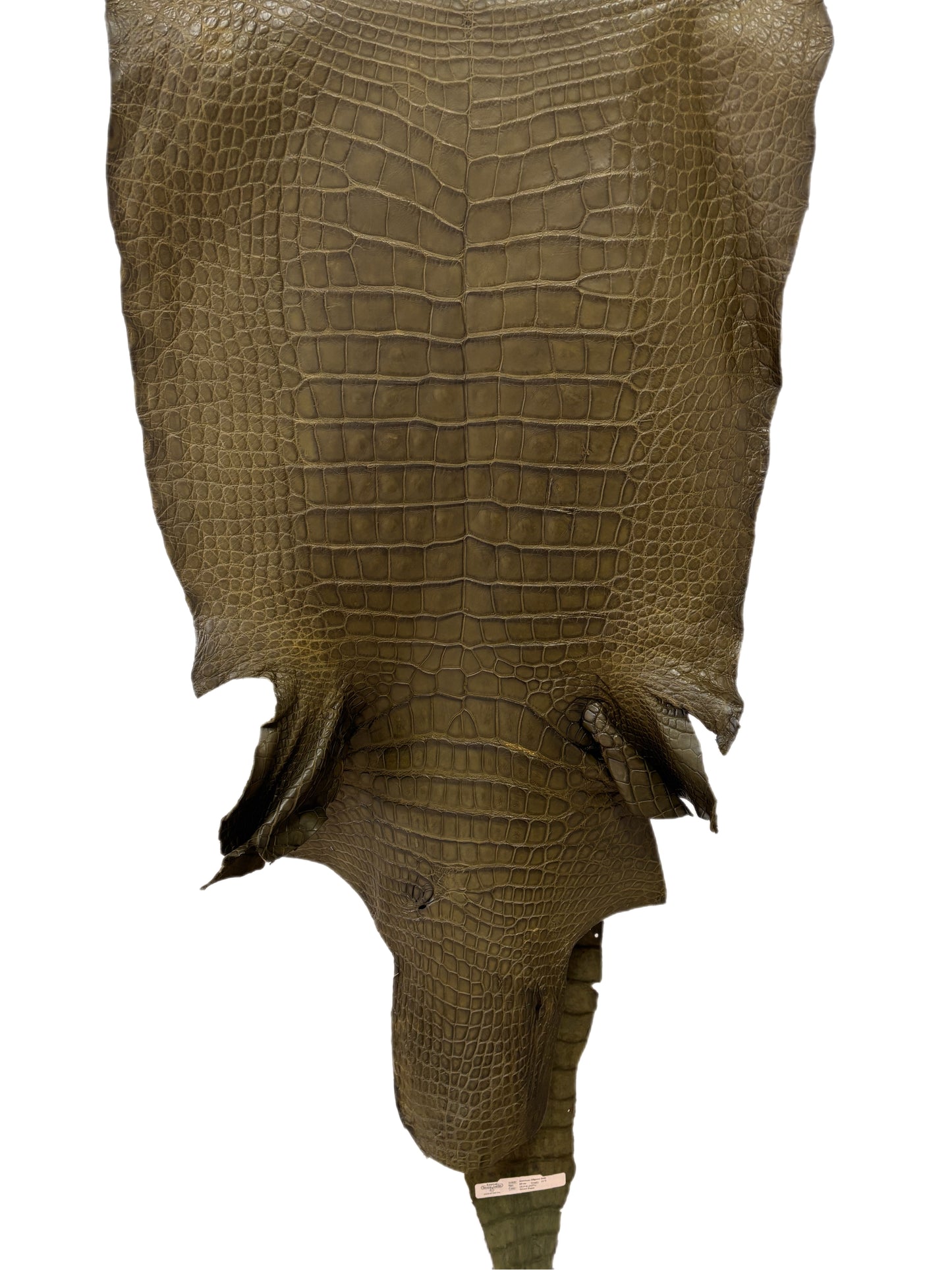 55 cm Grade 4/5 Loden Matte Wild American Alligator Leather - Tag: LA16-0032991