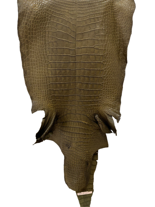 55 cm Grade 4/5 Loden Matte Wild American Alligator Leather - Tag: LA16-0032991