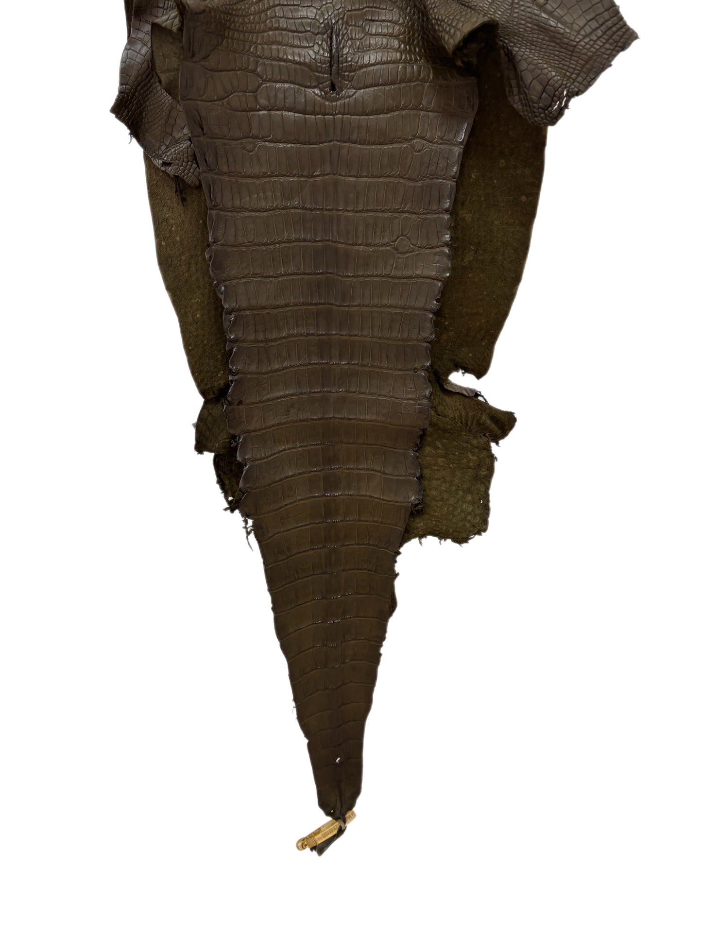40 cm Grade 2/3 Olive Matte Wild American Alligator Leather - Tag: LA23-0051535