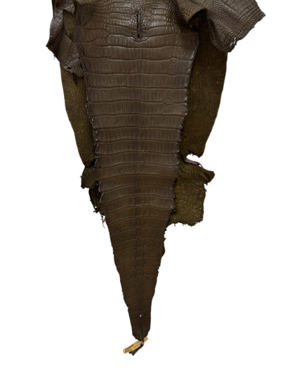 40 cm Grade 2/3 Olive Matte Wild American Alligator Leather - Tag: LA23-0051535