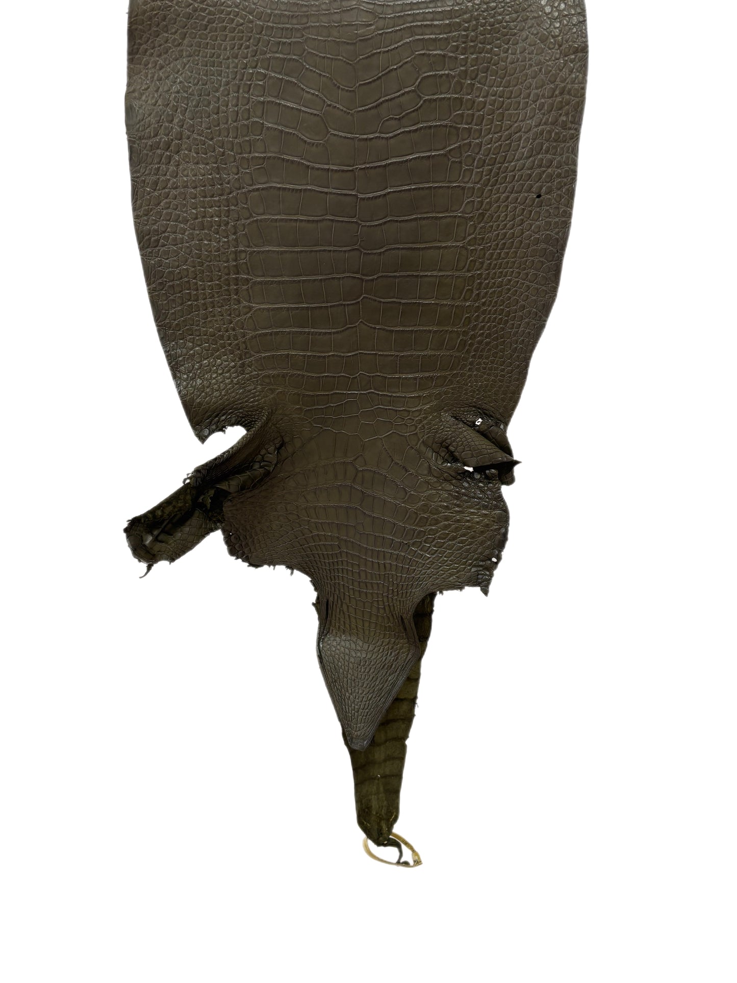 40 cm Grade 2/3 Olive Matte Wild American Alligator Leather - Tag: LA23-0051535