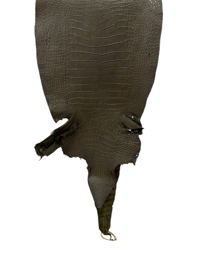 40 cm Grade 2/3 Olive Matte Wild American Alligator Leather - Tag: LA23-0051535