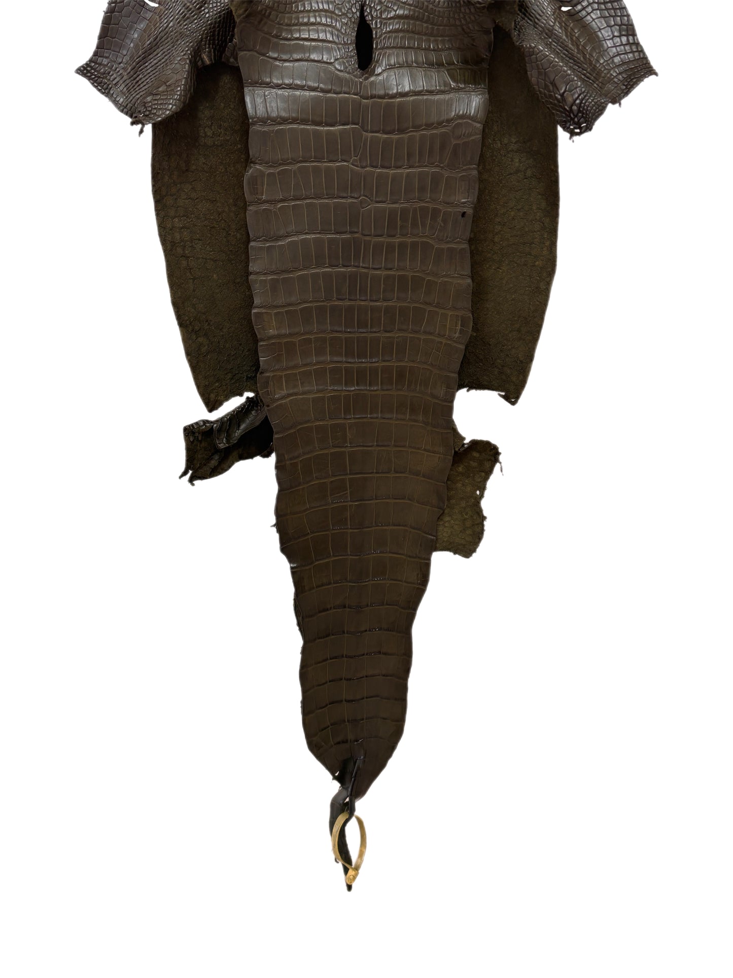 39 cm Grade 2/3 Olive Matte Wild American Alligator Leather - Tag: LA16-0043163