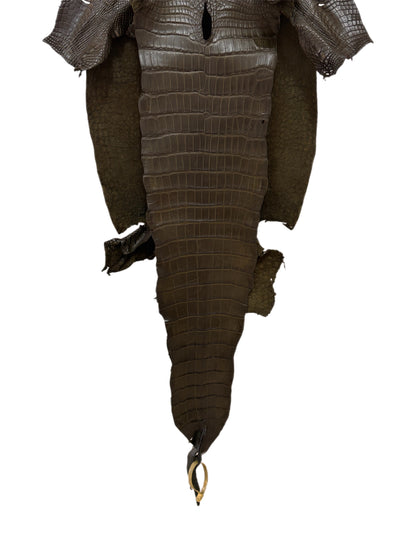 39 cm Grade 2/3 Olive Matte Wild American Alligator Leather - Tag: LA16-0043163