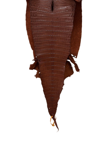30 cm Grade 2/3 Rodeo Matte Farm-Raised American Alligator Leather - Tag: FL17-0036981