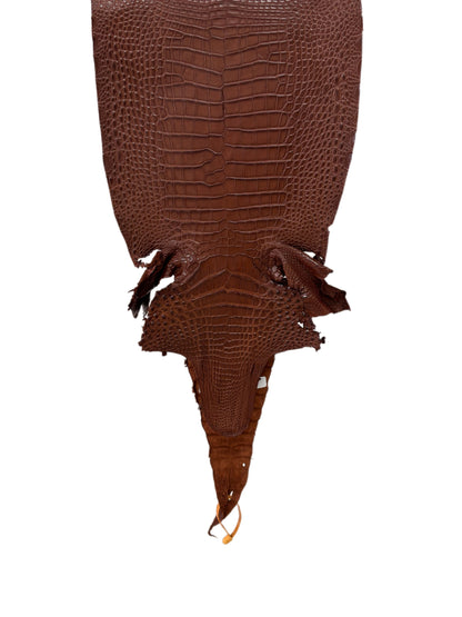30 cm Grade 2/3 Rodeo Matte Farm-Raised American Alligator Leather - Tag: FL17-0036981