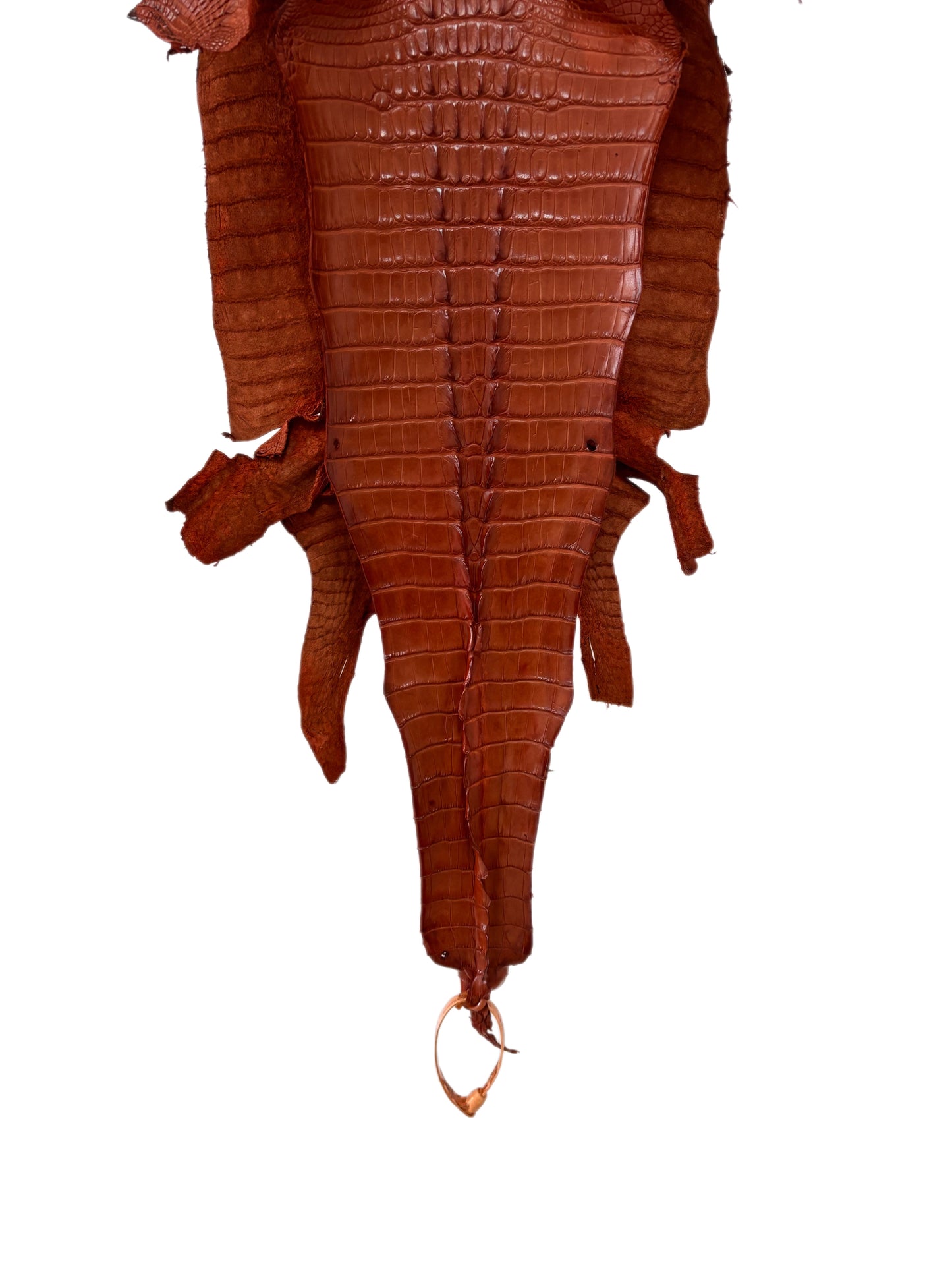 29 cm Grade 1/2 Cognac Matte Farm-Raised American Alligator Hornback Leather - Tag: LA23-0377053