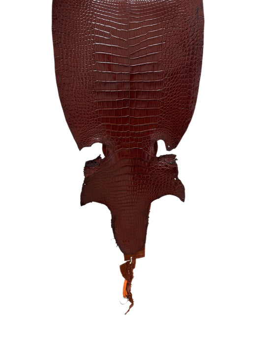 34 cm Grade 2/3 Bourbon Millennium Wild American Alligator Leather - Tag: LA18-0037468
