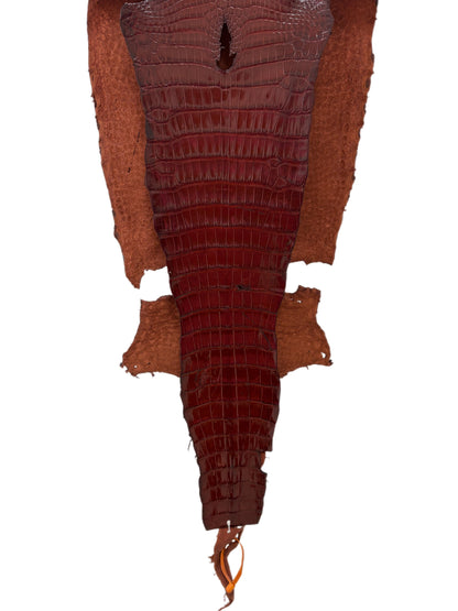 38 cm Grade 2/3 Bourbon Millennium Wild American Alligator Leather - Tag: LA16-0010610