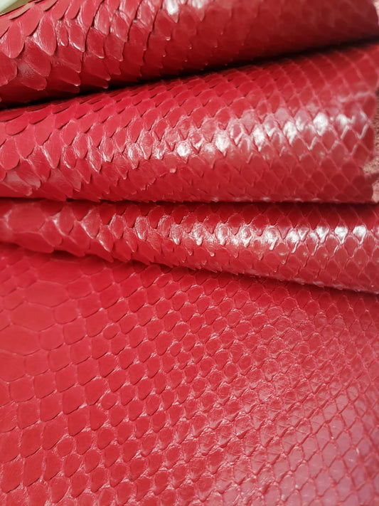2.2 M Back Cut Red Python Leather
