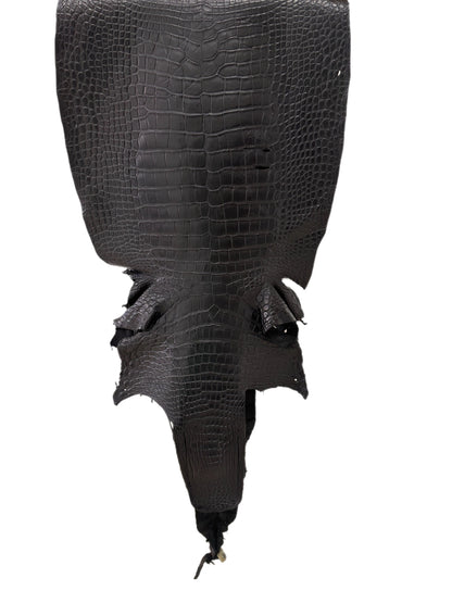 43 cm Grade 3/4 Black Matte Wild American Alligator Leather - Tag: LA23-0051518