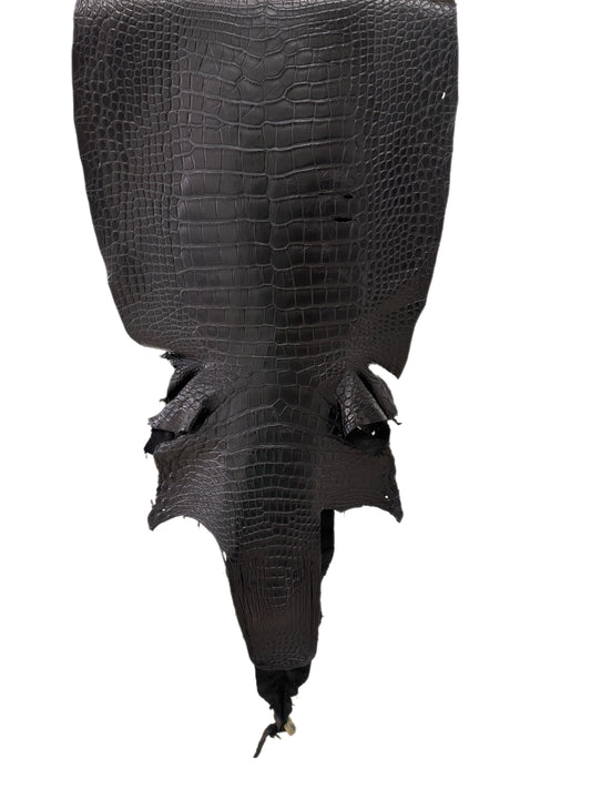 43 cm Grade 3/4 Black Matte Wild American Alligator Leather - Tag: LA23-0051518