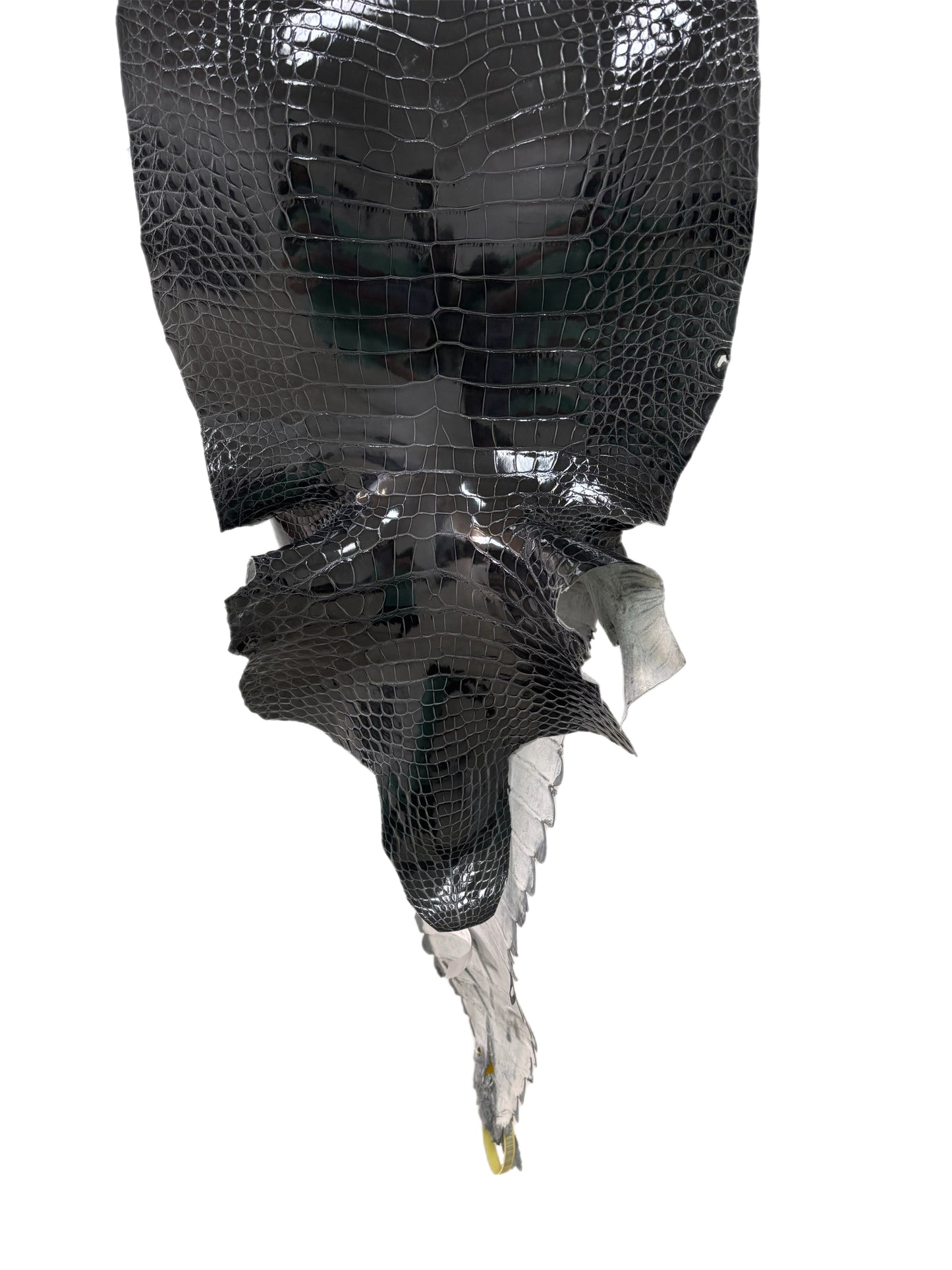 35 cm Grade 1/2 Grey Glazed Farm-Raised American Alligator Leather - Tag: GA13-0021430