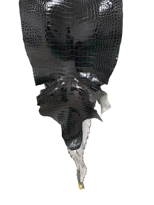 35 cm Grade 1/2 Grey Glazed Farm-Raised American Alligator Leather - Tag: GA13-0021430