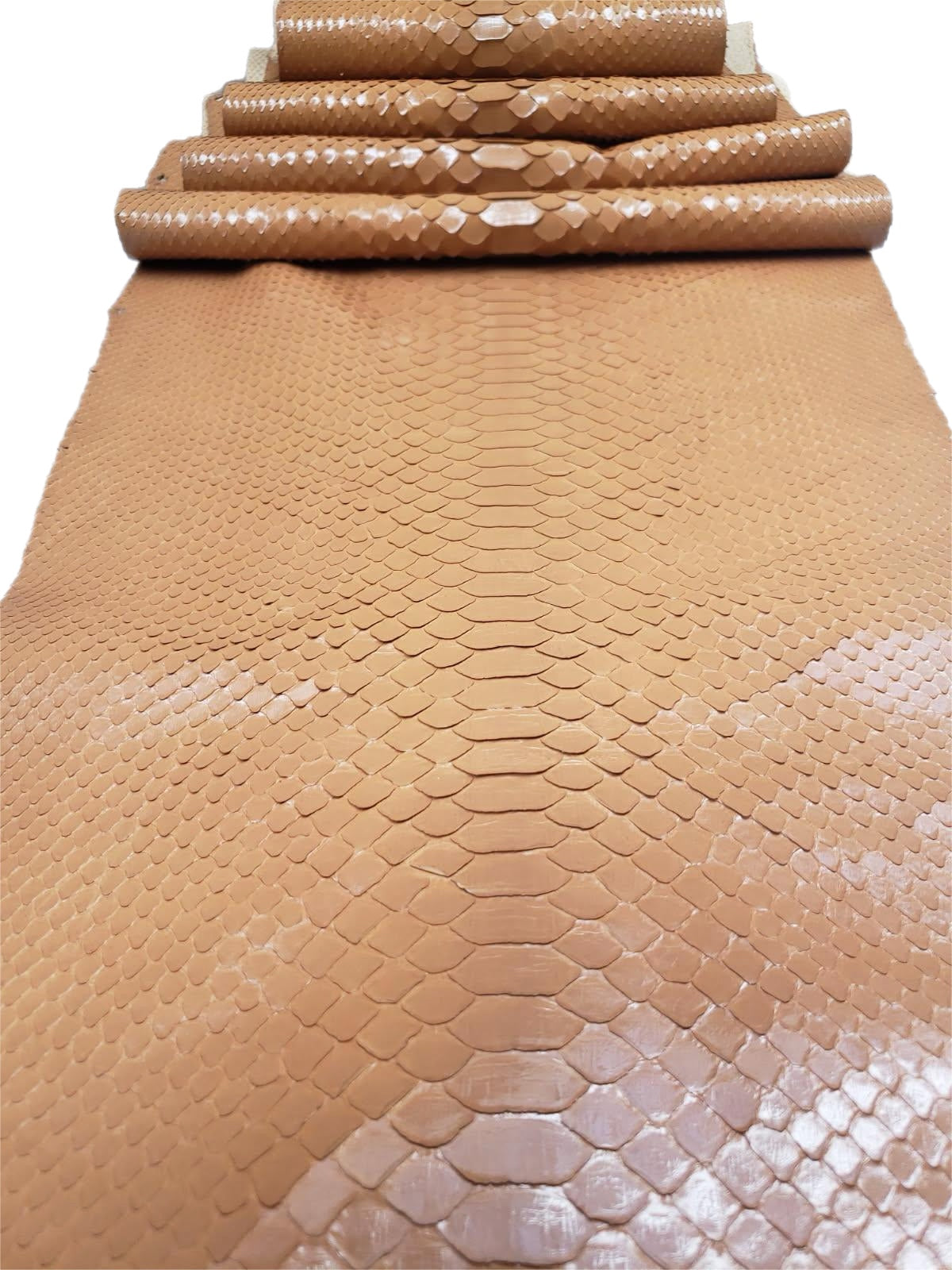 2.4 M Back Cut Peach Glazed Python Leather