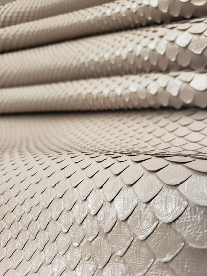 2.7 M Front Cut Beige Matte Python Leather