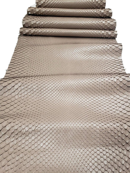 2.7 M Front Cut Beige Matte Python Leather
