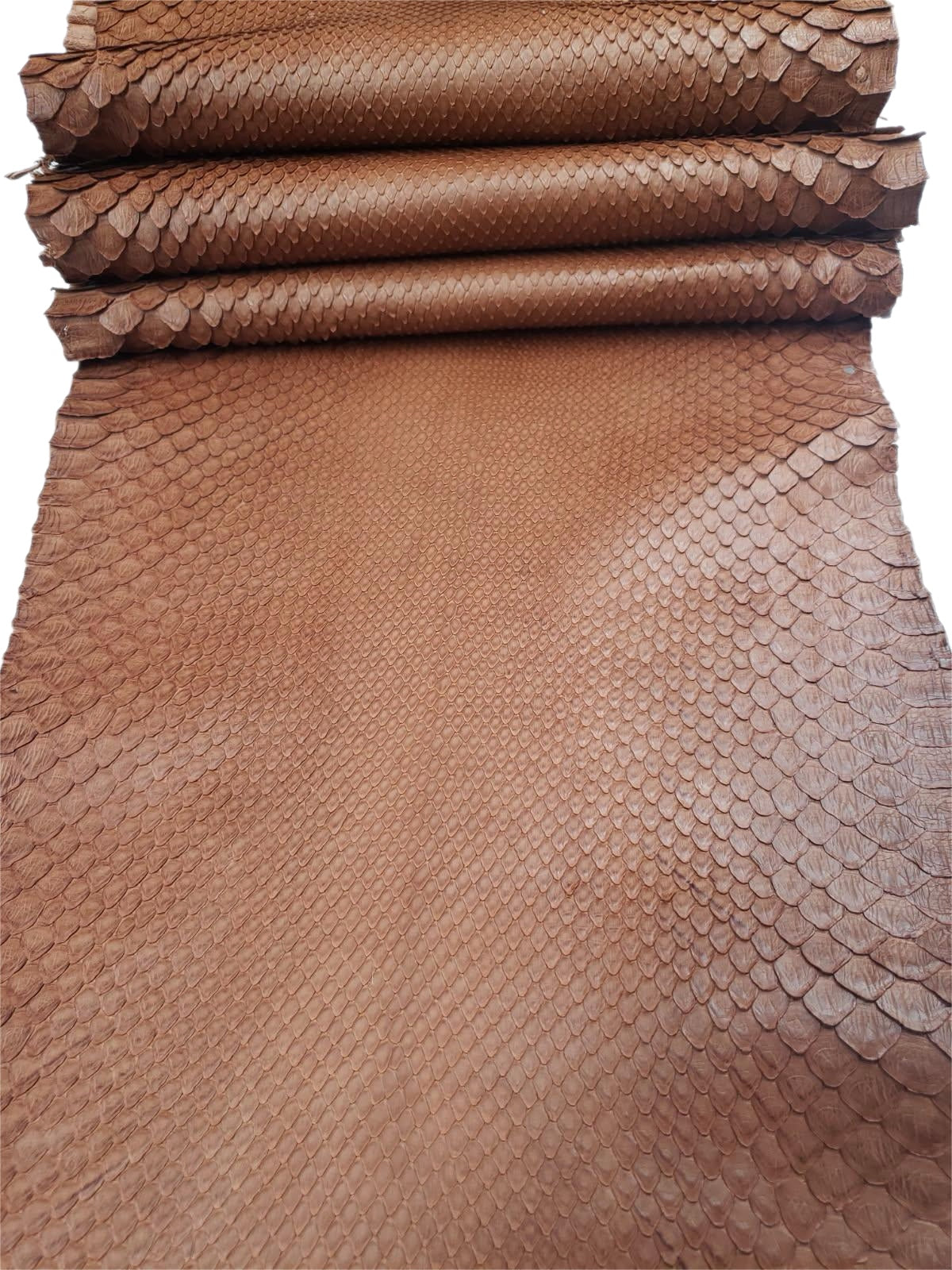2.4 M Front Cut Rusty Matte Python Leather