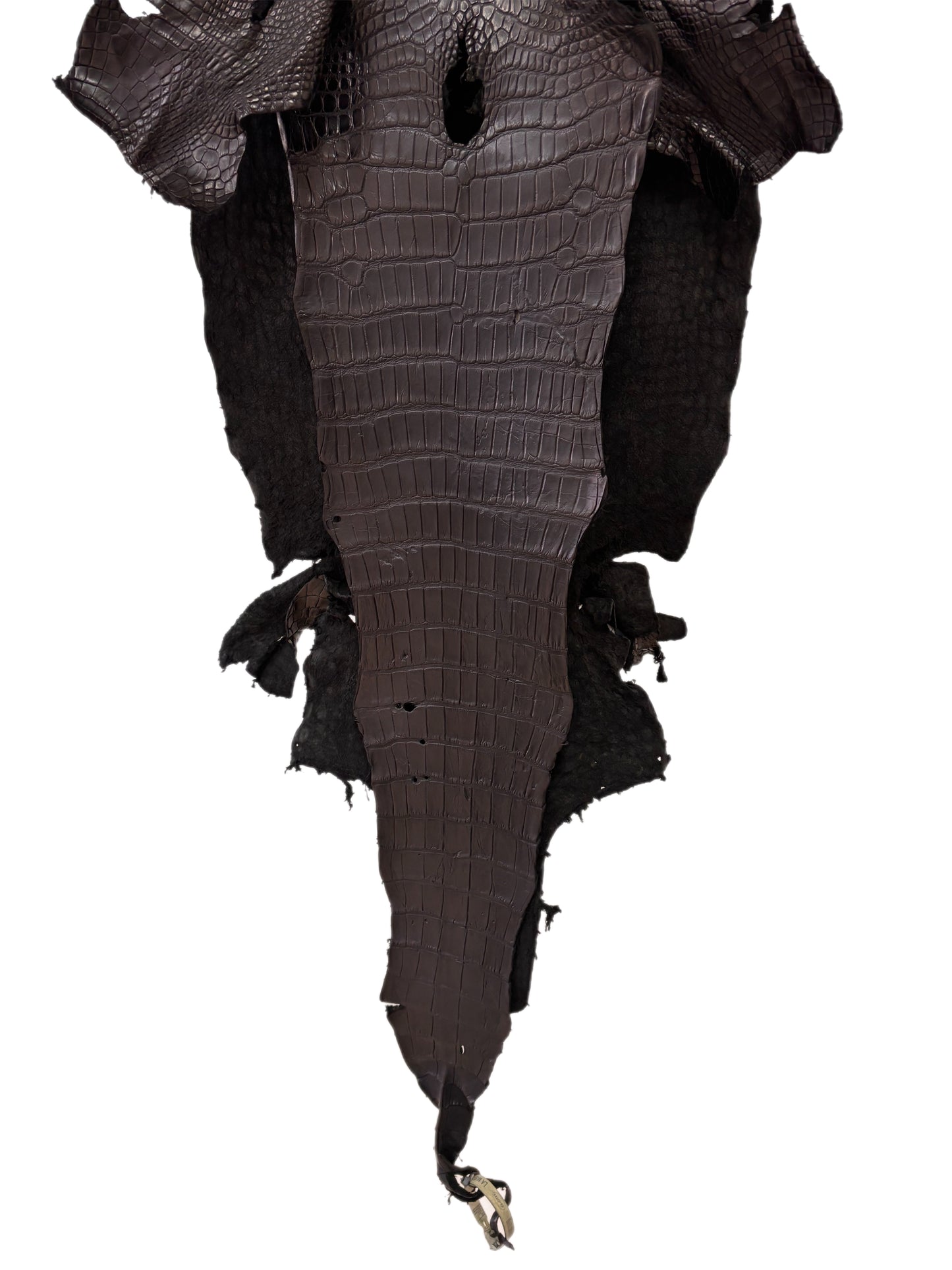 37 cm Grade 3/4 Black Matte Wild American Alligator Leather - Tag: LA23-0001471