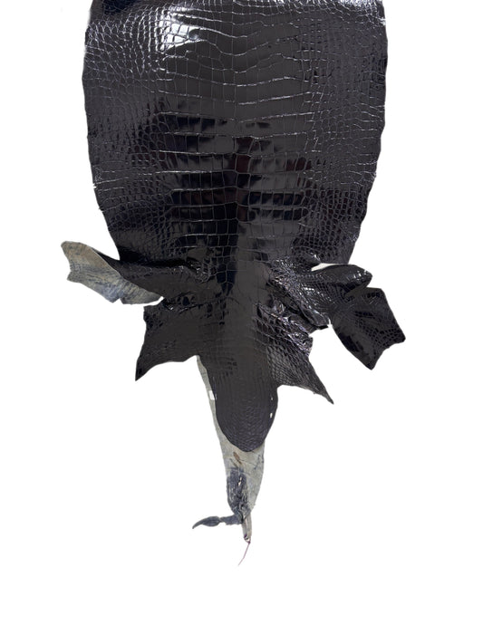 35 cm Grade 2/3 Navy Blue Glazed Wild American Alligator Leather - Tag: LA17-0040459