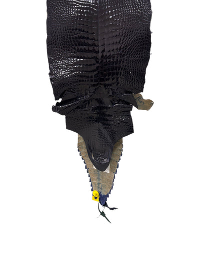 30 cm Grade 2/3 Navy Blue Glazed Wild American Alligator Leather - Tag: FL98-0009155