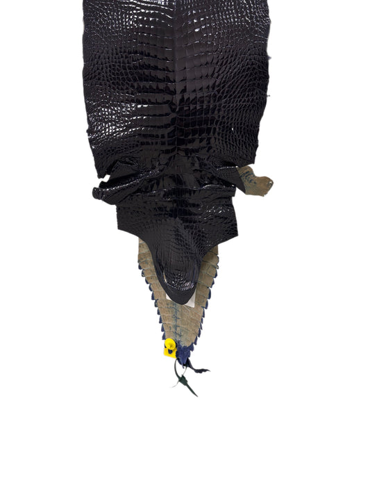 30 cm Grade 2/3 Navy Blue Glazed Wild American Alligator Leather - Tag: FL98-0009155