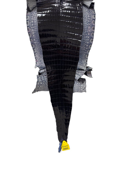 30 cm Grade 2/3 Navy Blue Glazed Wild American Alligator Leather - Tag: FL96-0004679