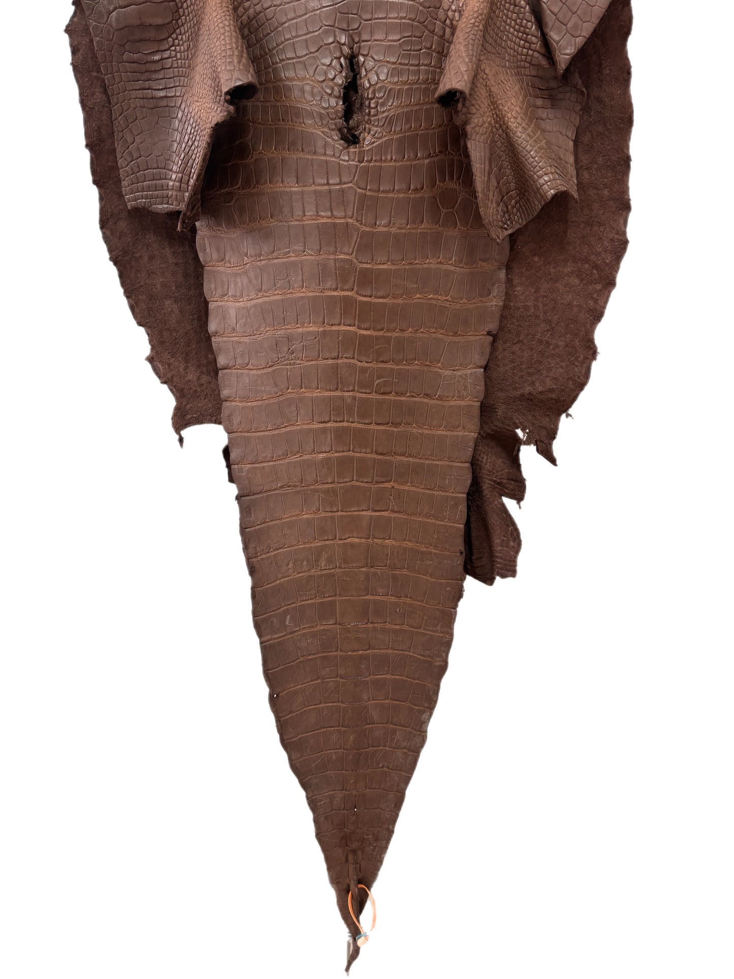 64 cm Grade 2/3 Miller Matte Wild American Alligator Leather - Tag: LA18-0014326