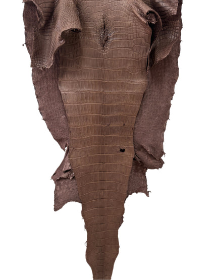 58 cm Grade 3/4 Miller Matte Wild American Alligator Leather - Tag: LA23-0003488
