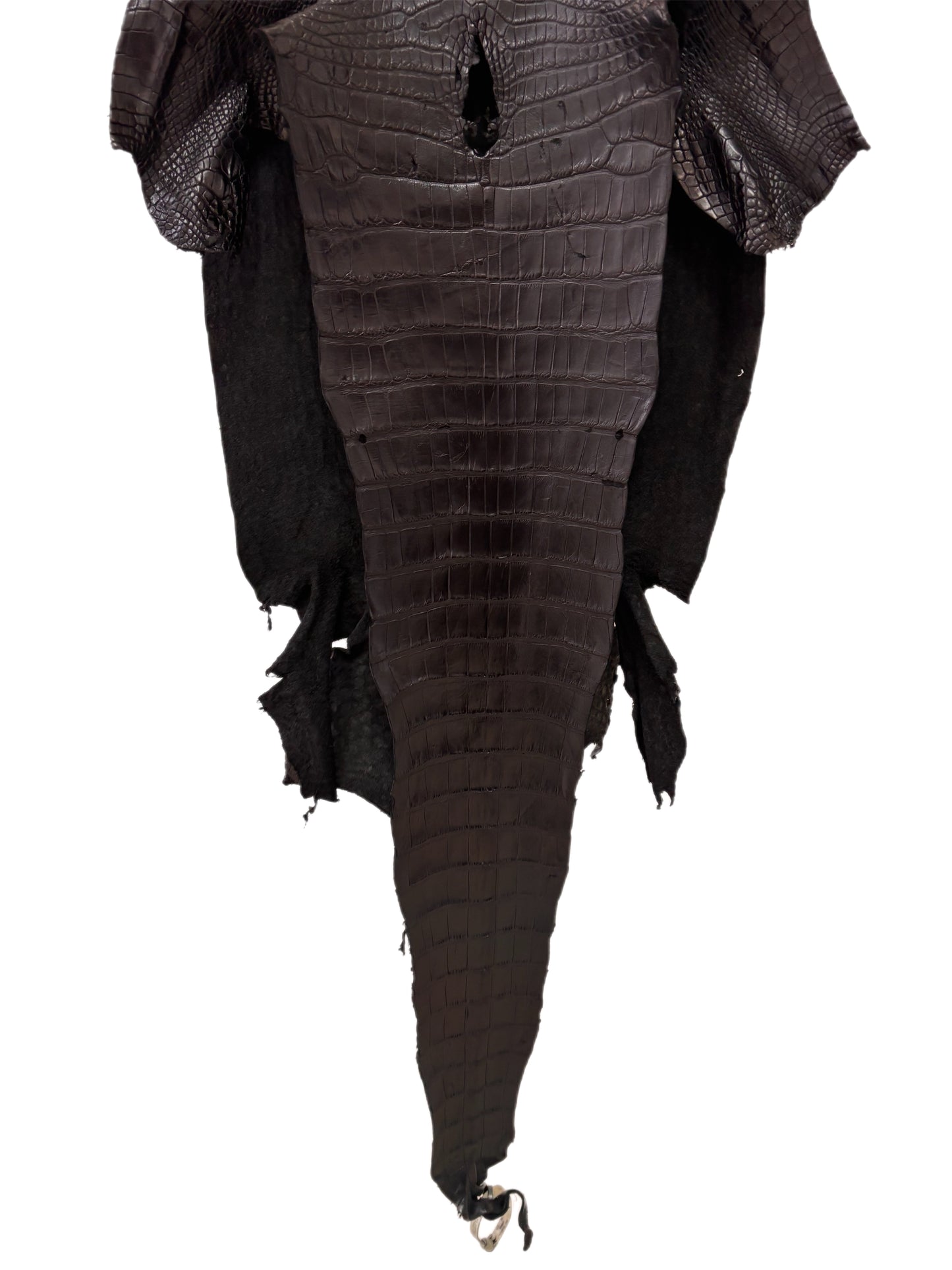40 cm Grade 3/4 Black Matte Wild American Alligator Leather - Tag: LA23-0027756