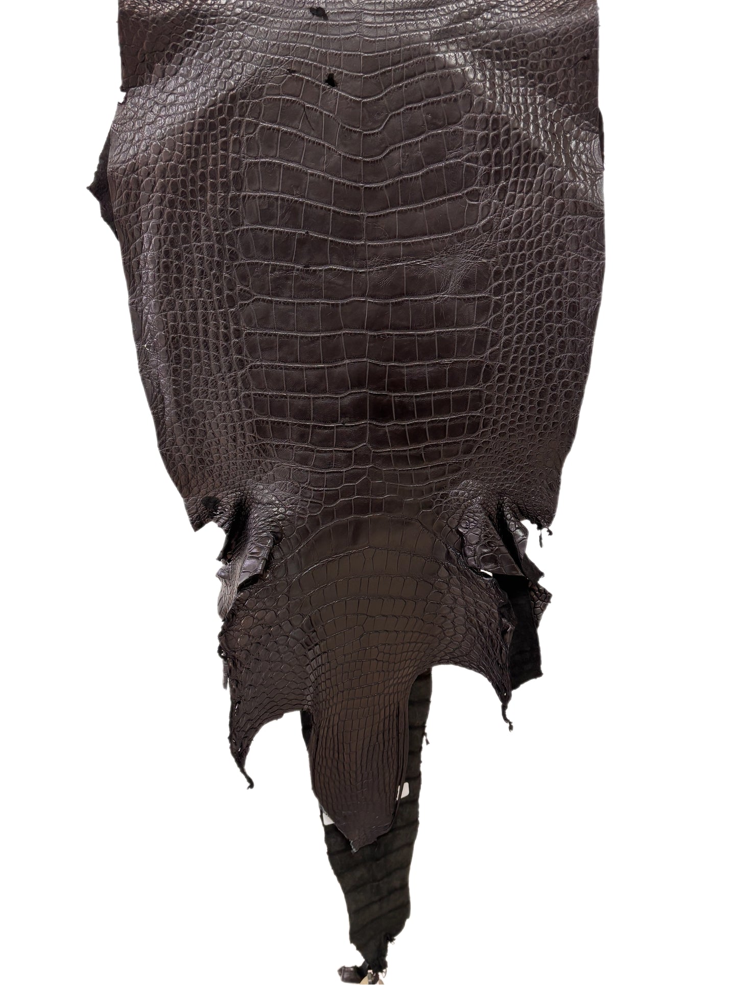 40 cm Grade 3/4 Black Matte Wild American Alligator Leather - Tag: LA23-0027756