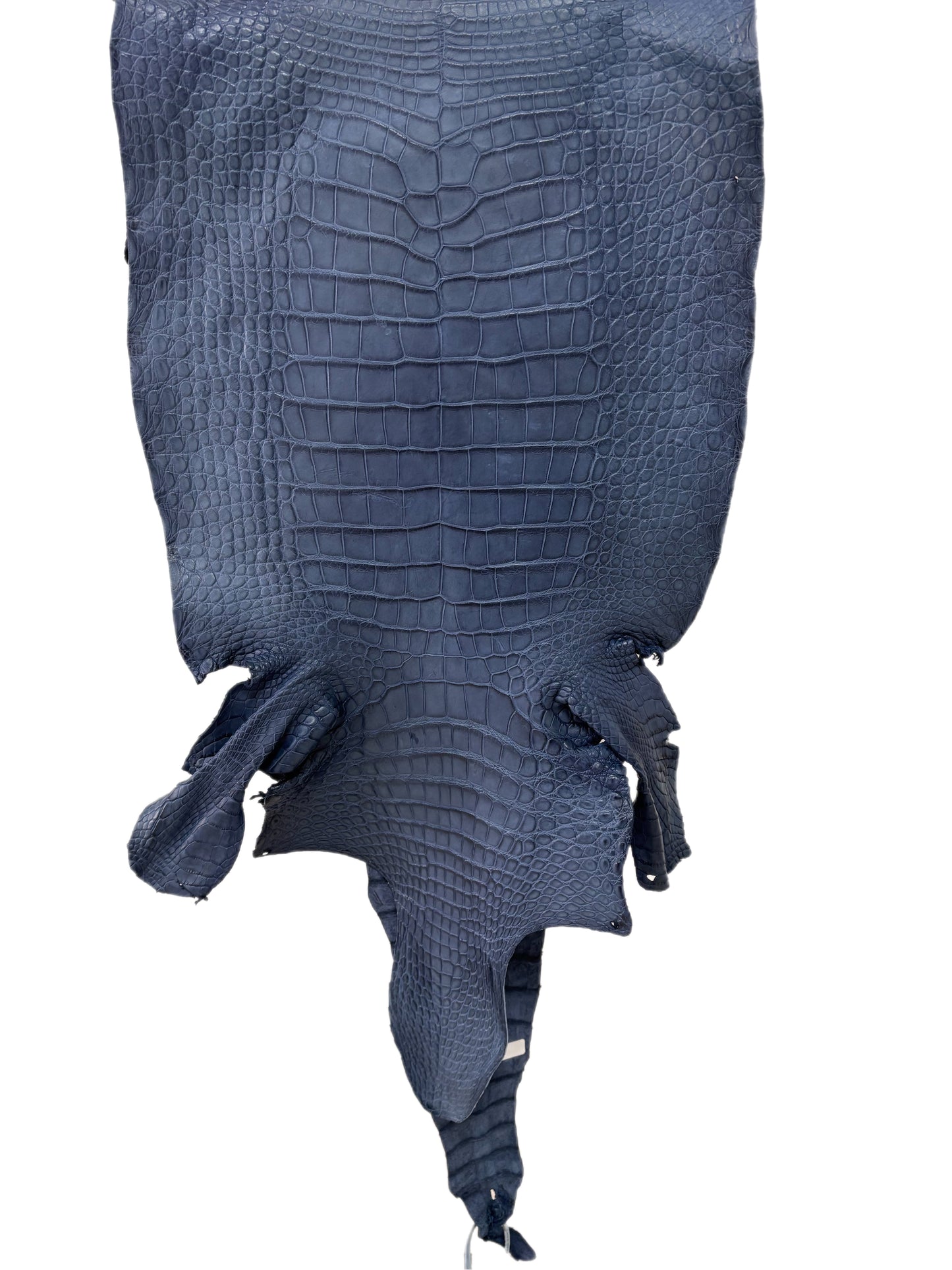 43 cm Grade 3/4 Indigo Matte Wild American Alligator Leather - Tag: LA23-0026587